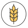 Gluten Tahıllar
